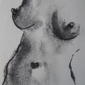 modelesvivants-015.jpg